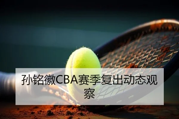 孙铭徽CBA赛季复出动态观察